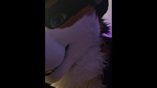 Horny step bros fuck and cum together 💦 @AngryBarks and @LewdmindedLynx