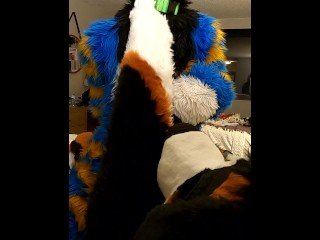 One Night with ManedStripes