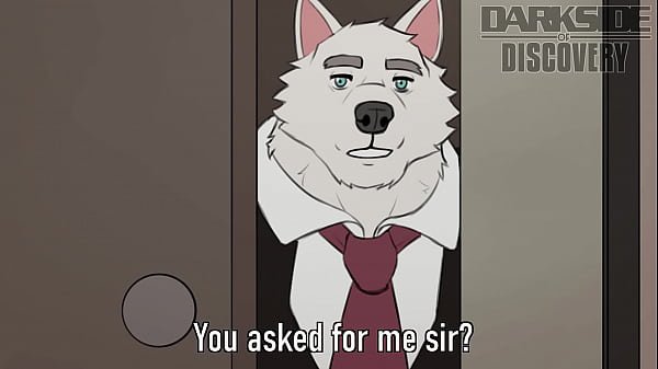 furry bear bj